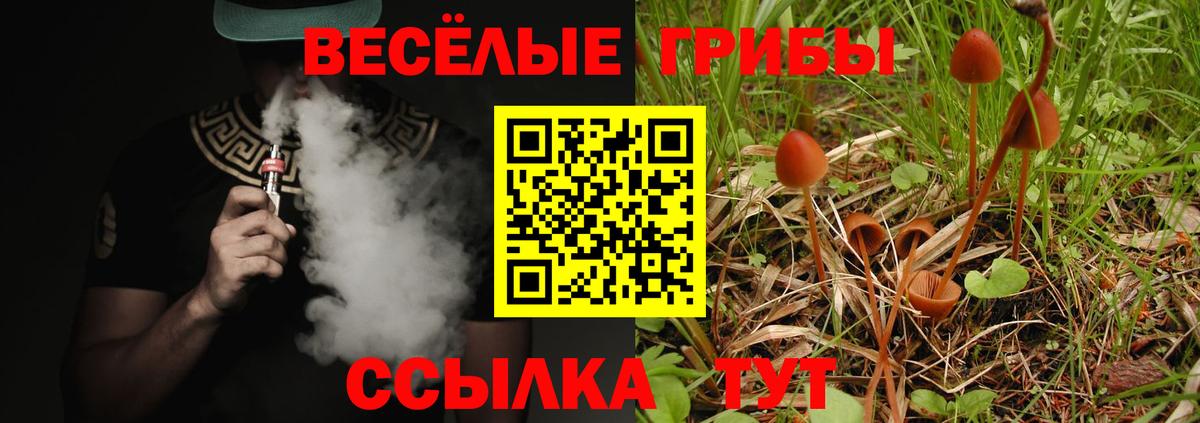 Мелеуз  как найти   Вход с VPN  Галлюциногенные грибы мицелий 