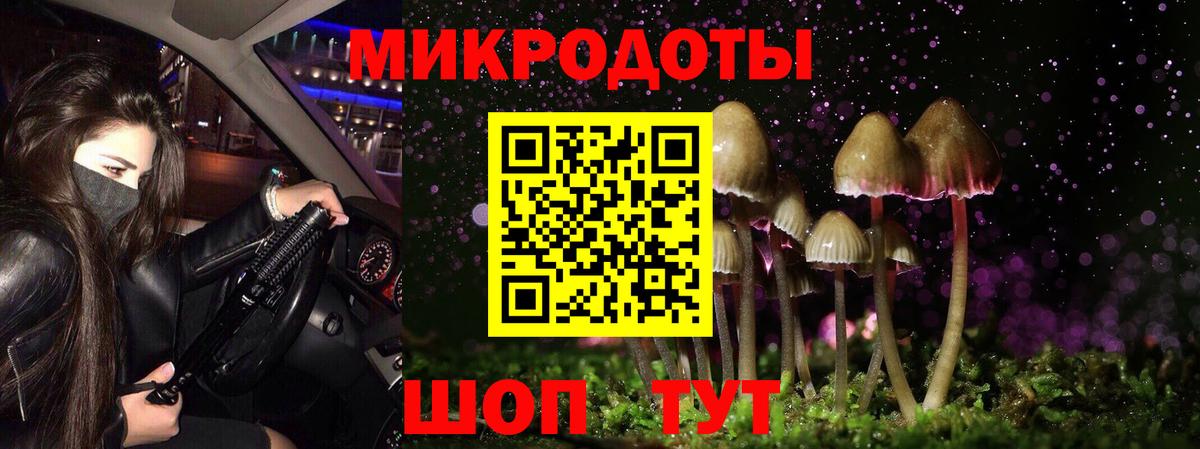 Псилоцибиновые грибы прущие грибы Мелеуз